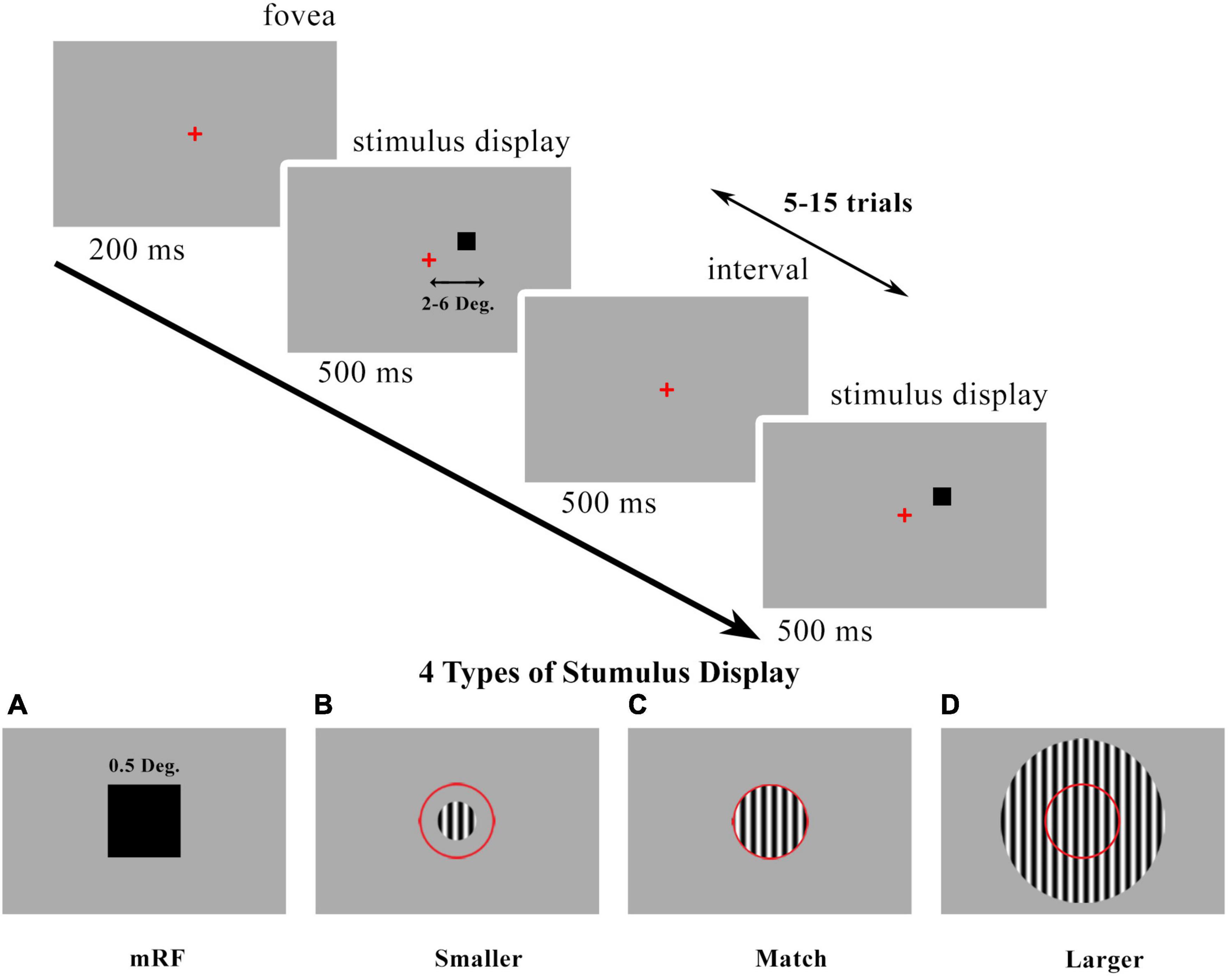 LFP polarity changes across cortical and eccentricity in primary visual cortex